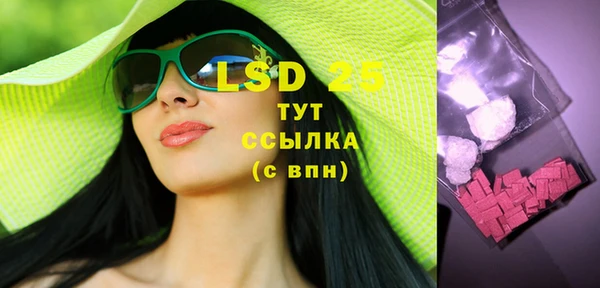 тгк Новозыбков