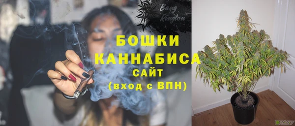 тгк Новозыбков