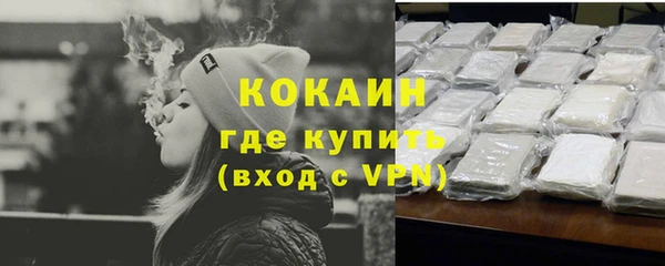 тгк Новозыбков