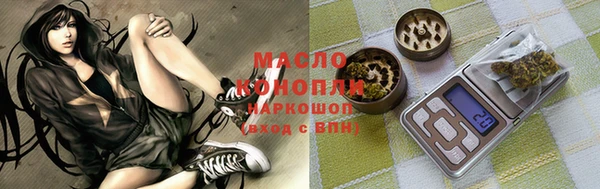 тгк Новозыбков