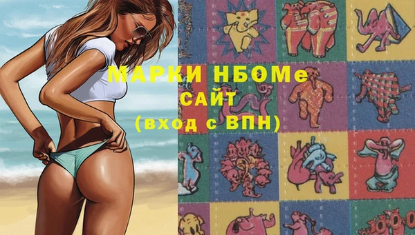 тгк Новозыбков