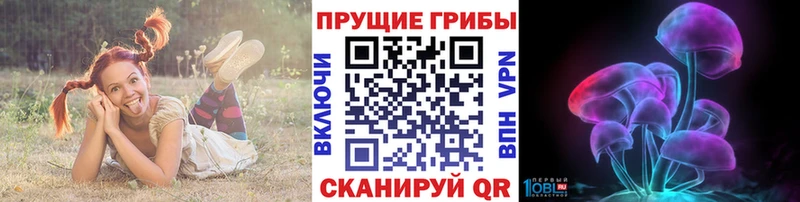 KRAKEN ссылка  Чёрмоз  Галлюциногенные грибы ЛСД  цена наркотик 